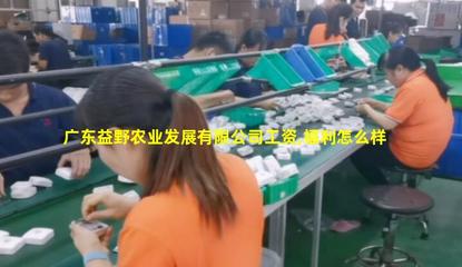 廣東益野農業 領航畜牧漁業飼料銷售，助推現代農牧業發展